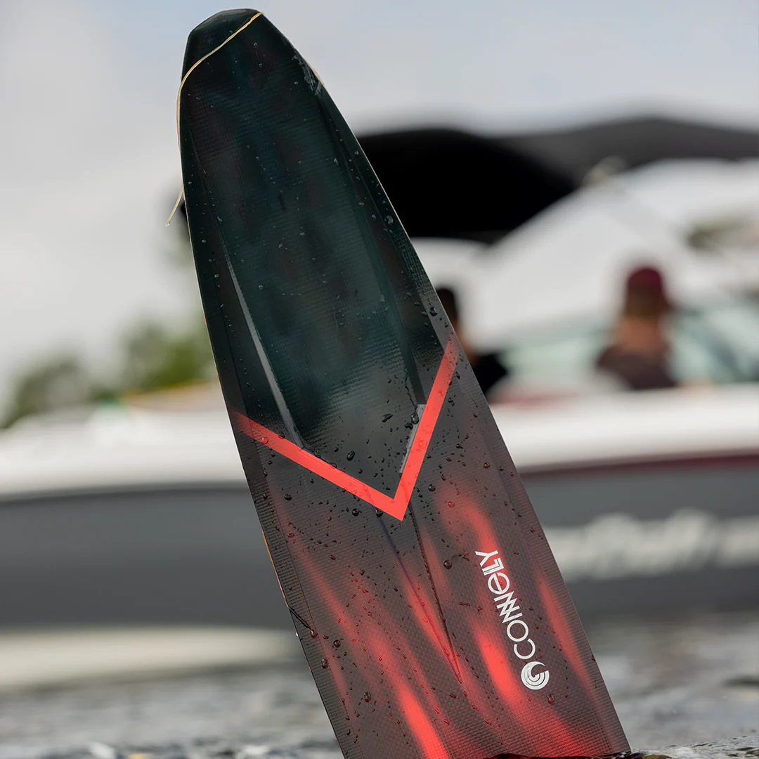 2024 Carbon V - Image 4